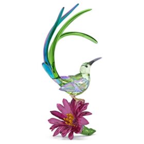 Idyllia Sugarbird and Cactus Flower