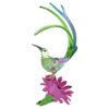 Idyllia Sugarbird and Cactus Flower