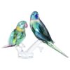 Jungle Beats Parakeet Couple Fife & Fifer